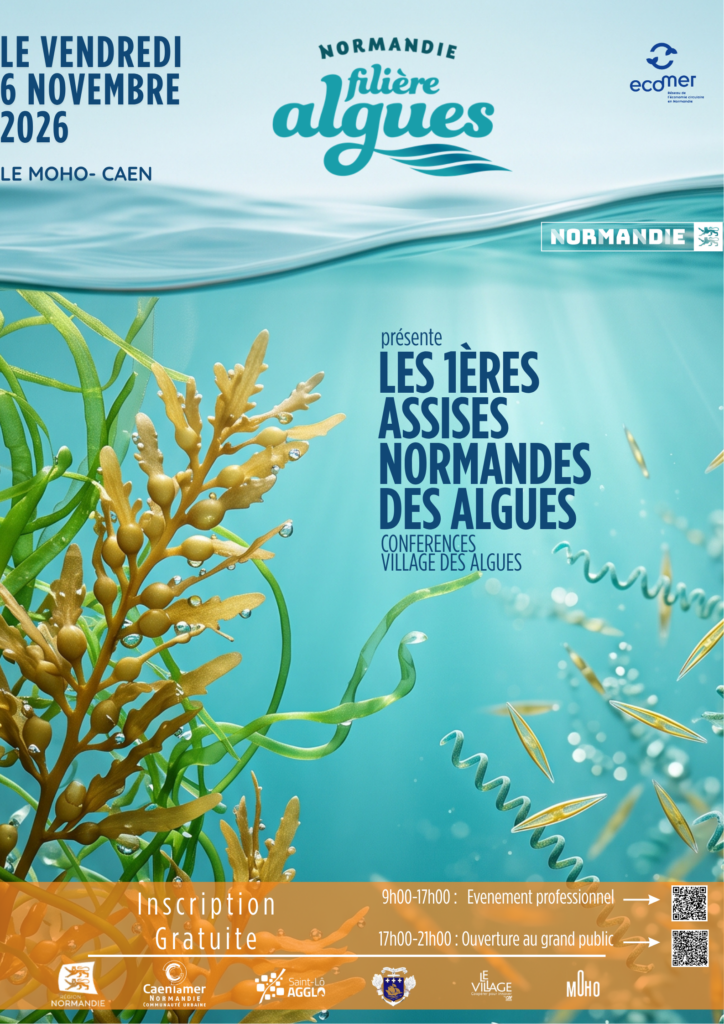 Affiche officielle des 1ères Assises Normandes des Algues au MoHo à Caen avec illustration d'algues sous l'eau et programme de la journée du 6 novembre 2026.