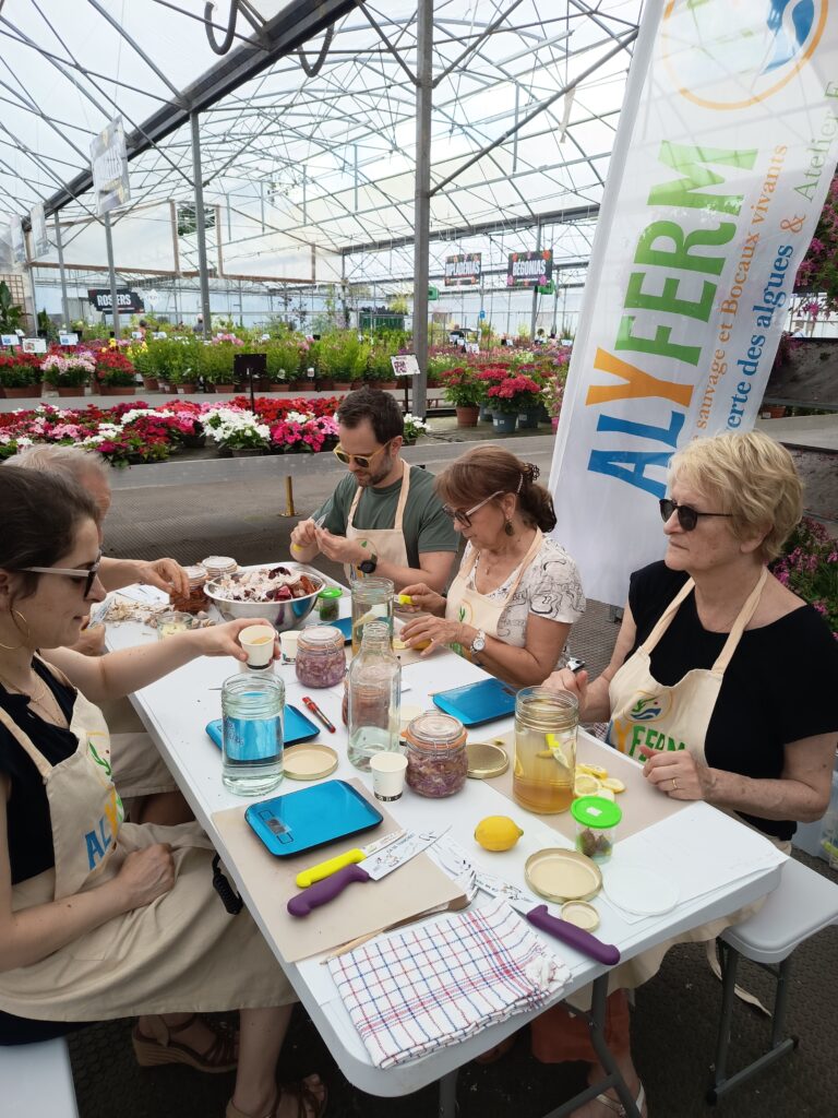 Préparation de Kefi de kombucha d'ail au miel atelier de lactofermentation organisé par alyferm à ETS AUBRY Saint léonard